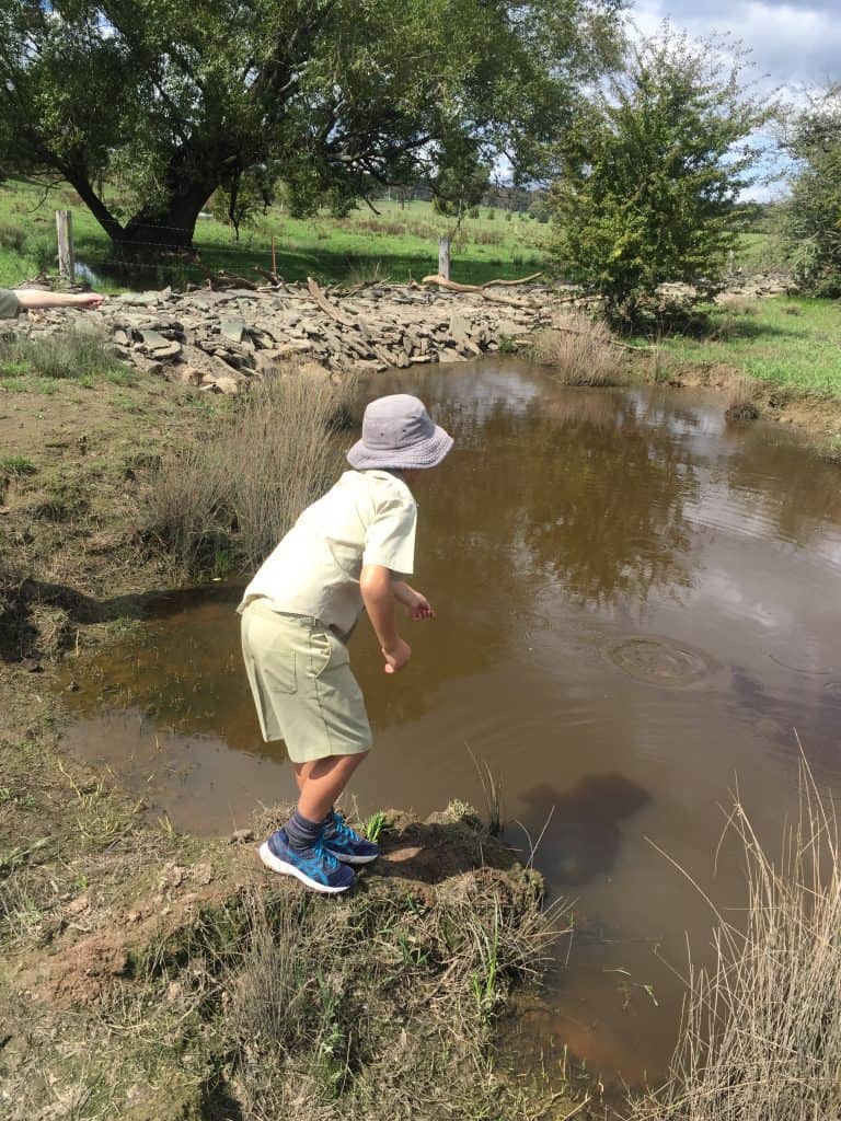 Back to the basics at Tudor House - student catching yabbies